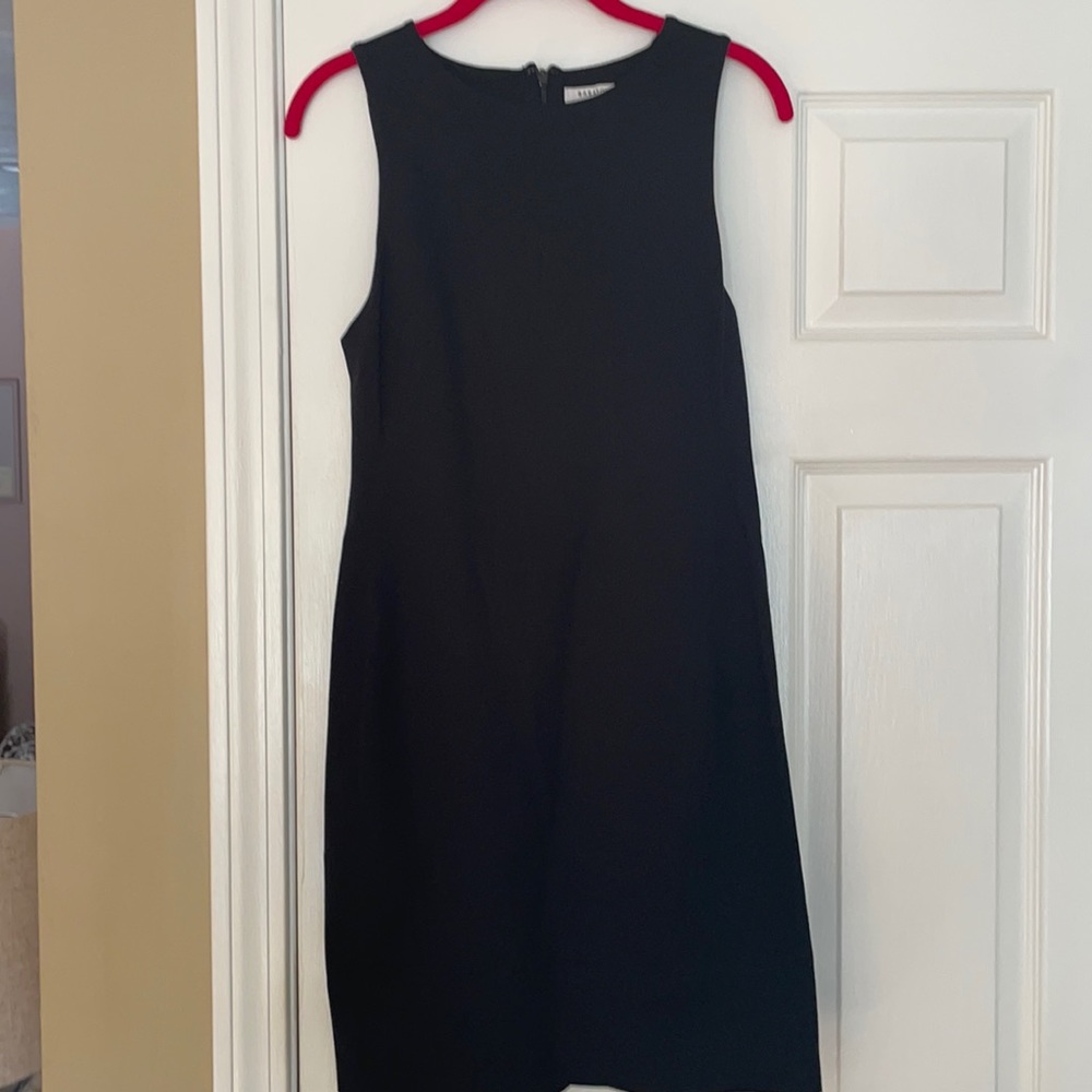 Babaton Sleeveless Dress